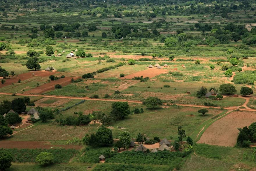 Harvest on African farmland